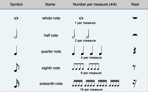 What Is a Meter in Music and Its Enigmatic Role in Creating Musical Rhythm